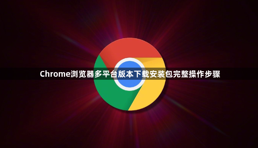 Chrome浏览器多平台版本下载安装包完整操作步骤1