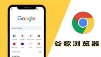 谷歌浏览器插件更新异常处理操作技巧