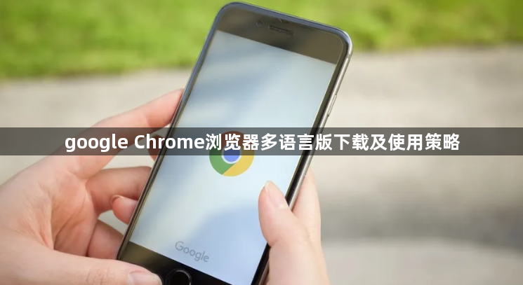 google Chrome浏览器多语言版下载及使用策略1
