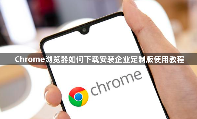 Chrome浏览器如何下载安装企业定制版使用教程1