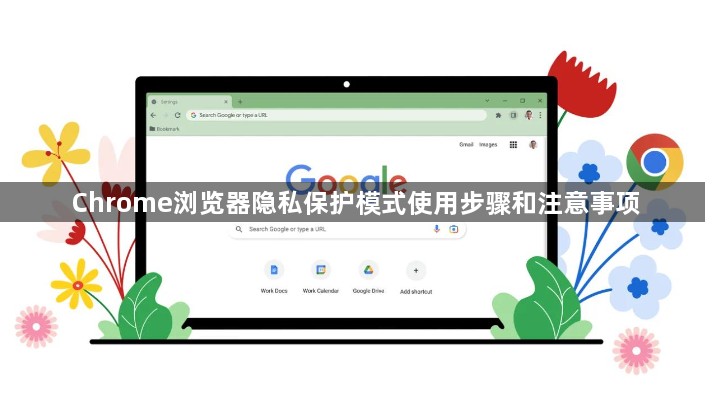 Chrome浏览器隐私保护模式使用步骤和注意事项1