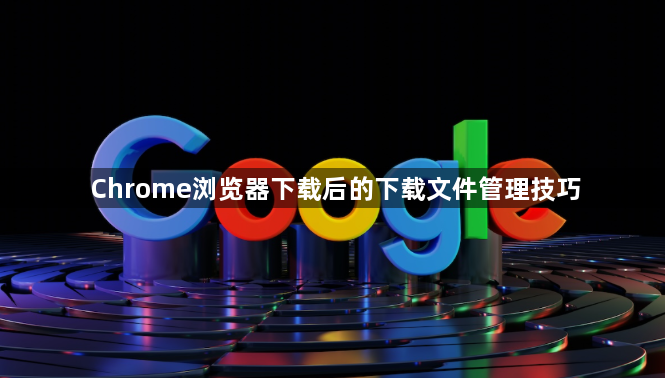 Chrome浏览器下载后的下载文件管理技巧1