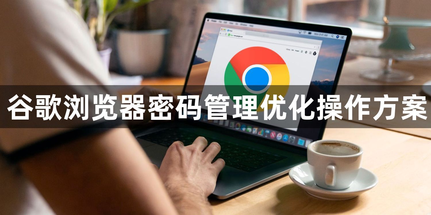 谷歌浏览器密码管理优化操作方案1