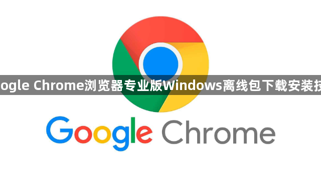 google Chrome浏览器专业版Windows离线包下载安装技巧1