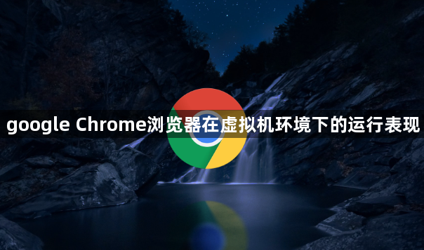 google Chrome浏览器在虚拟机环境下的运行表现1