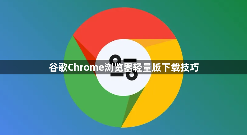 谷歌Chrome浏览器轻量版下载技巧1