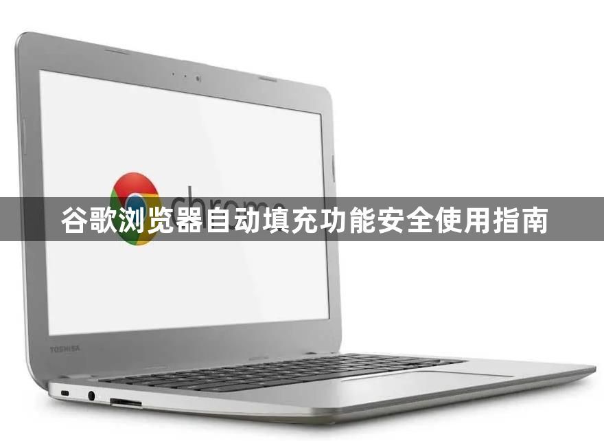 谷歌浏览器自动填充功能安全使用指南1