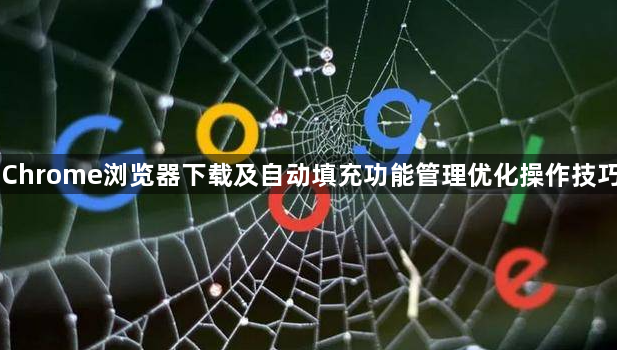 Chrome浏览器下载及自动填充功能管理优化操作技巧1