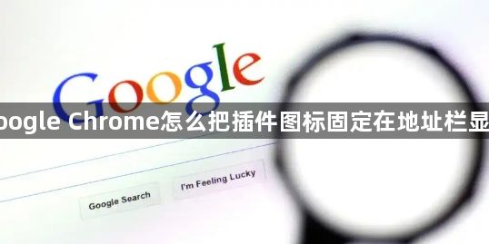 google Chrome怎么把插件图标固定在地址栏显示1