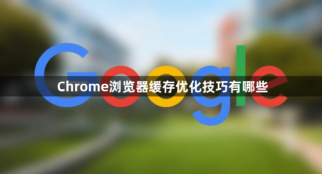 Chrome浏览器缓存优化技巧有哪些1