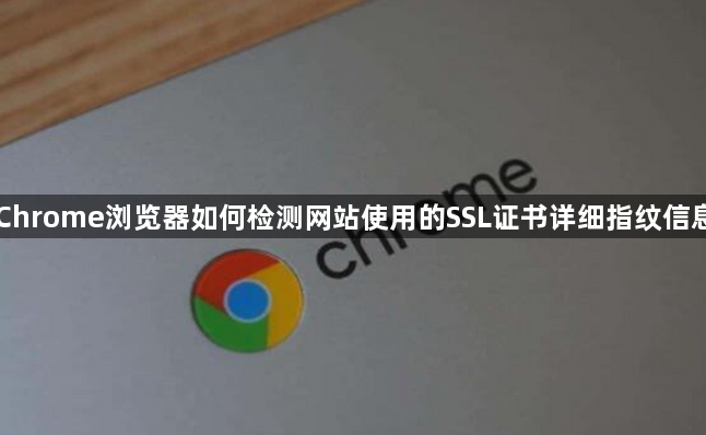 Chrome浏览器如何检测网站使用的SSL证书详细指纹信息1