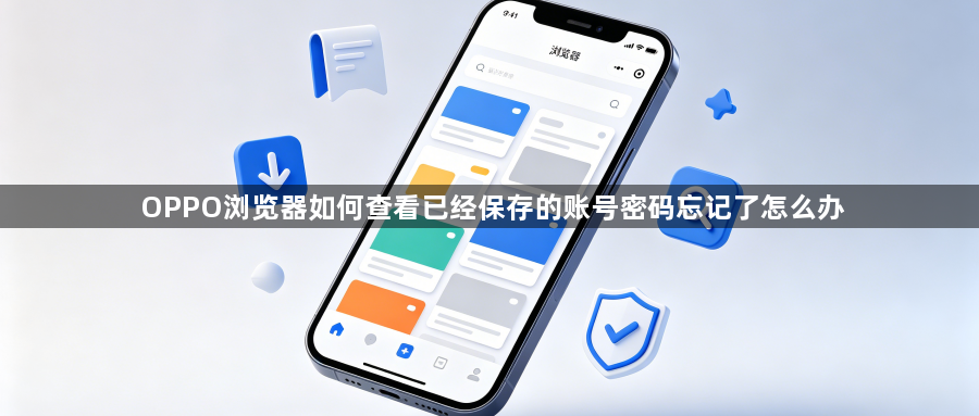 OPPO浏览器如何查看已经保存的账号密码忘记了怎么办1