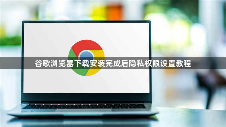 谷歌浏览器下载安装完成后隐私权限设置教程1
